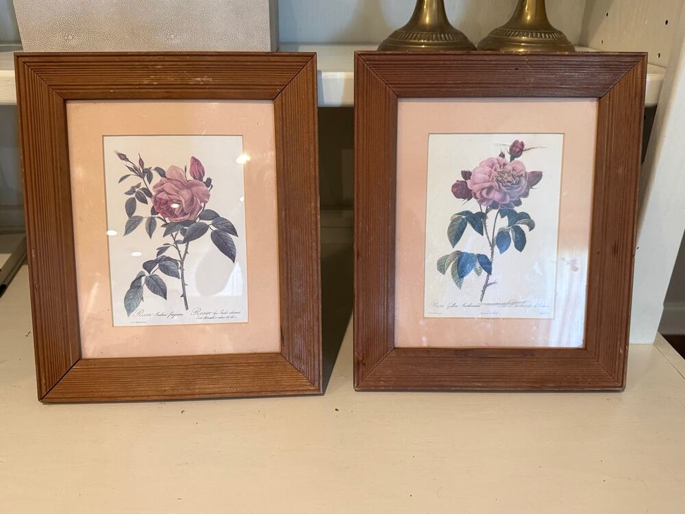 Vintage Pierre Joseph Redoute Rose Botanical Art Prints Framed Pair